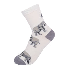 Elephant Kids 7-10yrs Socks