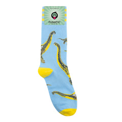 Brontosaurus Socks
